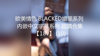 欧美情色 BLACKED媚黑系列 内嵌中文字幕系列 超清合集【18v】 (10)