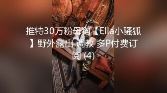 推特30万粉母狗【Ella小骚狐】野外露出 调教 多P付费订阅 (4)