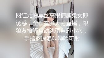 后入加皮鞭