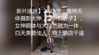 MDX-0238-01_時間停止器_痴女空姐的逆襲官网-寻小小