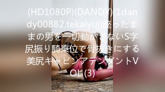 (HD1080P)(DANDY)(1dandy00882.tekaiyuj)座ったままの男を一切動かさないS字尻振り騎乗位で骨抜きにする美尻キャビンアテンダントVOL (3)