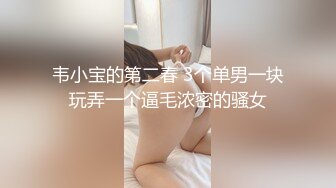 韦小宝的第二春 3个单男一块玩弄一个逼毛浓密的骚女