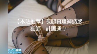 【本站推荐】長腿真理褲誘惑狼師，計画通り