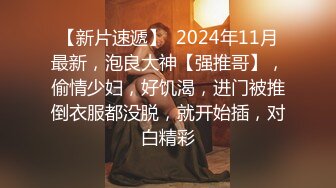 【新片速遞】  2024年11月最新，泡良大神【强推哥】，偷情少妇，好饥渴，进门被推倒衣服都没脱，就开始插，对白精彩