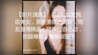 ✿性感女仆✿ 盲盒惊喜之主人的专属猫咪▌宸荨樱桃▌