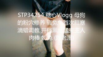 STP34254 糖心Vlogg 母狗的粉穴修养 骚兔兔首次肛塞滴蜡调教 开档黑丝猛夹主人肉棒 奶兔 (陈老湿)