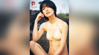 小美乳女友