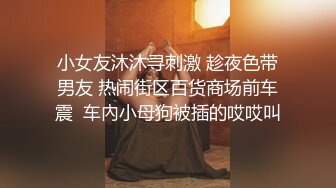 惠奈酱 03 4p