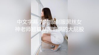 中文字幕 尤物级制服黑丝女神老师翘着浑圆饱满的大屁股