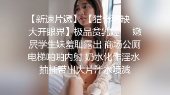 出租女友1 租个女友过大年