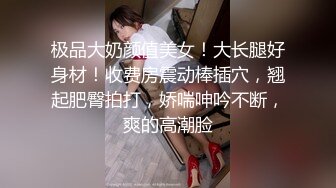 欧美高清唯美系列 Futanari 扶她双性人（非TS）美女有根仙女棒4K高清合集 第二季  (3)