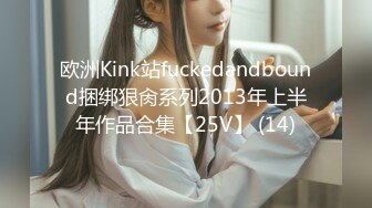 欧洲Kink站fuckedandbound捆绑狠肏系列2013年上半年作品合集【25V】 (14)