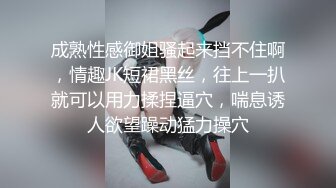 性感姐姐进行了12次中度插入的制裁