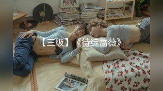 维拉舞团 艳舞女神 【琳达】SVIP-漏毛露点艳舞 合集（包括下海作品合集【80v】 (78)