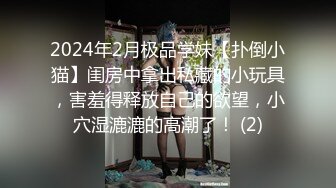 2024年2月极品学妹【扑倒小猫】闺房中拿出私藏的小玩具，害羞得释放自己的欲望，小穴湿漉漉的高潮了！ (2)