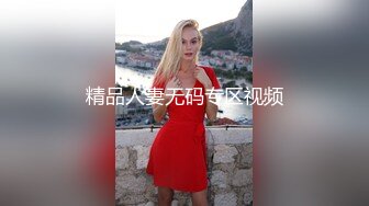 精品人妻无码专区视频