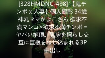 2023-11-9【模特写真拍摄丶探花】文静小美女，脱下内裤掰穴，换上性感连体网袜