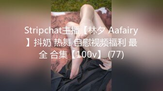 Stripchat主播【林夕 Aafairy】抖奶 热舞 自慰视频福利 最全 合集【100v】 (77)