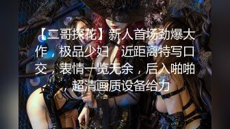 【二哥探花】新人首场劲爆大作，极品少妇，近距离特写口交，表情一览无余，后入啪啪，超清画质设备给力