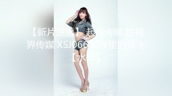 【新片速遞】 起点传媒 性视界传媒 XSJ066 KTV里的双飞【水印】