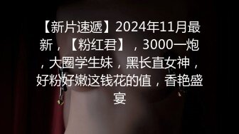 【新片速遞】2024年11月最新，【粉红君】，3000一炮，大圈学生妹，黑长直女神，好粉好嫩这钱花的值，香艳盛宴