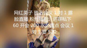 网红英子 腾讯会议 1 对 1 露脸直播 粉丝福利。进群私下 60 开会 200 永久露点 会议 1 对 1 要 520