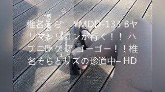 椎名そら ⨯ YMDD-133 Bヤリマンワゴンが行く！！ ハプニング ア ゴーゴー！！椎名そらとリズの珍道中– HD