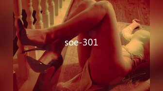 soe-301