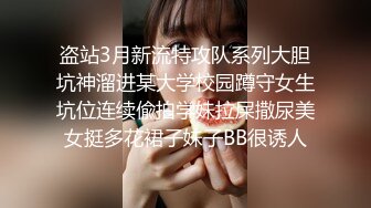 麻豆传媒 MCY-0027《空姐女友被强暴》-苏清歌