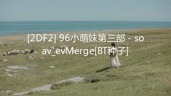 [2DF2] 96小萌妹第三部 - soav_evMerge[BT种子]