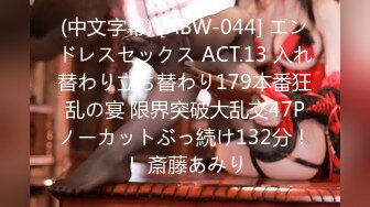 (中文字幕) [ABW-044] エンドレスセックス ACT.13 入れ替わり立ち替わり179本番狂乱の宴 限界突破大乱交47Pノーカットぶっ続け132分！！ 斎藤あみり