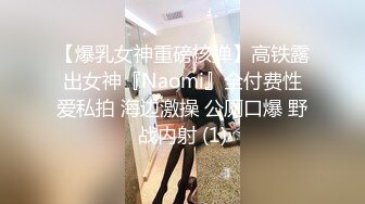 【爆乳女神重磅核弹】高铁露出女神『Naomi』全付费性爱私拍 海边激操 公厕口爆 野战内射 (1)