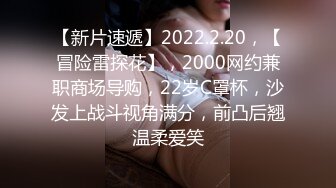 【新片速遞】2022.2.20，【冒险雷探花】，2000网约兼职商场导购，22岁C罩杯，沙发上战斗视角满分，前凸后翘温柔爱笑