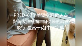 PRED-673 美腿空姐 陷入在黏著大叔裡面…肉便器的調教飛行..星宮一花[中文字幕]