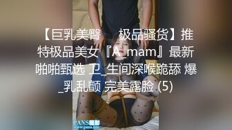 【巨乳美臀❤️极品骚货】推特极品美女『A_mam』最新啪啪甄选 卫_生间深喉跪舔 爆_乳乱颤 完美露脸 (5)