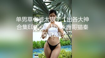 单男草老婆太狠了【出各大神合集EDC小郎君yqk唐哥猫秦夯呆哥Z先生