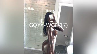 GQYY-WG8(17)