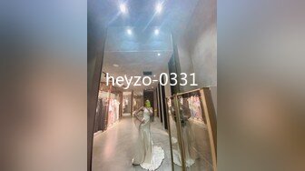 heyzo-0331