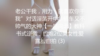 老公干我，用力，就喜欢你干我”对话淫荡开中华轿车又不帅气的大神【一路向北】教科书式逆袭，约炮2位美女性爱露脸自拍 (3)