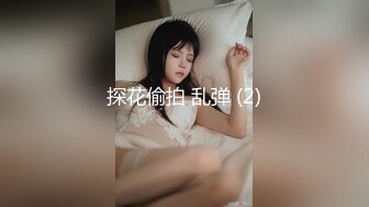 探花偷拍 乱弹 (2)