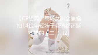 【CP经典】商场女厕全景偷拍14位年轻妹子颜值都还挺不错的（二 ） (2)