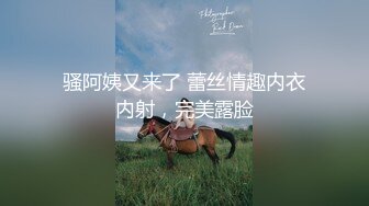 太完美了 满足幻想 AI绘画 正经的女教师们 图集