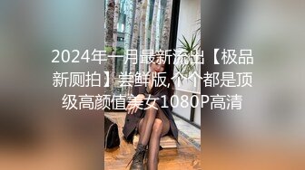 2024年一月最新流出【极品新厕拍】尝鲜版,个个都是顶级高颜值美女1080P高清