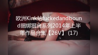 欧洲Kink站fuckedandbound捆绑狠肏系列2014年上半年作品合集【26V】 (17)