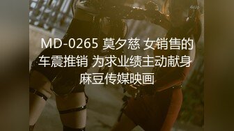 MD-0265 莫夕慈 女销售的车震推销 为求业绩主动献身 麻豆传媒映画